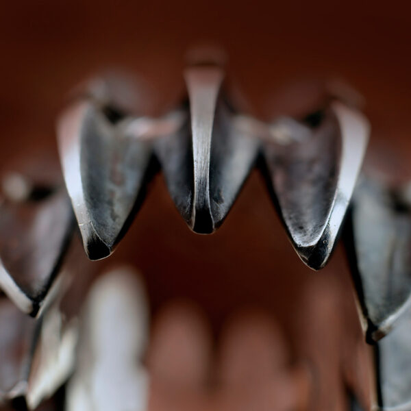 Vergrösserung des Silber Rings ALIEN aus der DARK STARS Kollektion